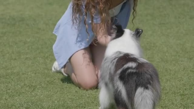 Woman Teaching His Dog