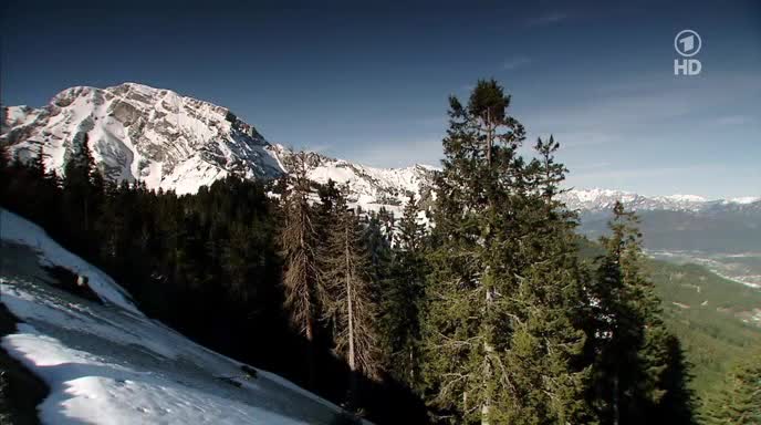 Rommel - Die Dokumentation