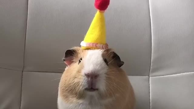 Poor dude, what a Waste of Food!