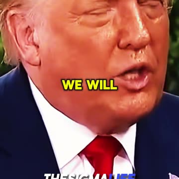 Rogan on Trump Fact-Checking Reporter Live on Air