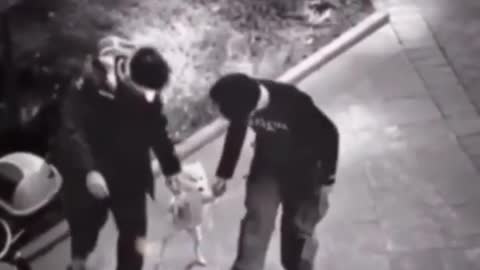 Funny video collection!!!!!!!!!!!!