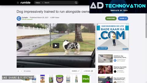 $ 90+ Dollars for One Video/How to Earn Online from Rumble /Account Verification /Rumble.com 2021