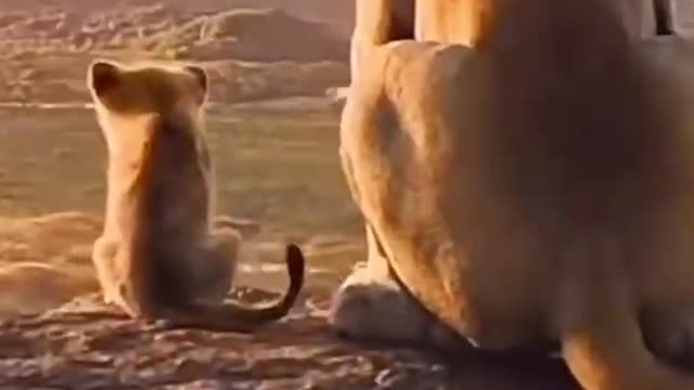 One of the fiercest animals in the world, she was cute as a child.