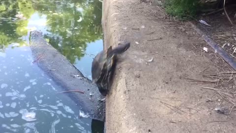 ПЛОХОЙ ДЕНЬ Лучше посмотри это - попробуй