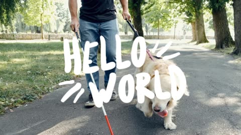 CET beby dogs video