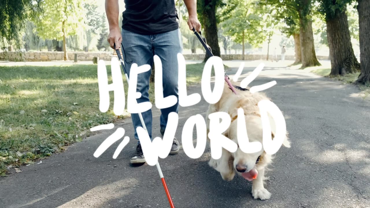 CET beby dogs video