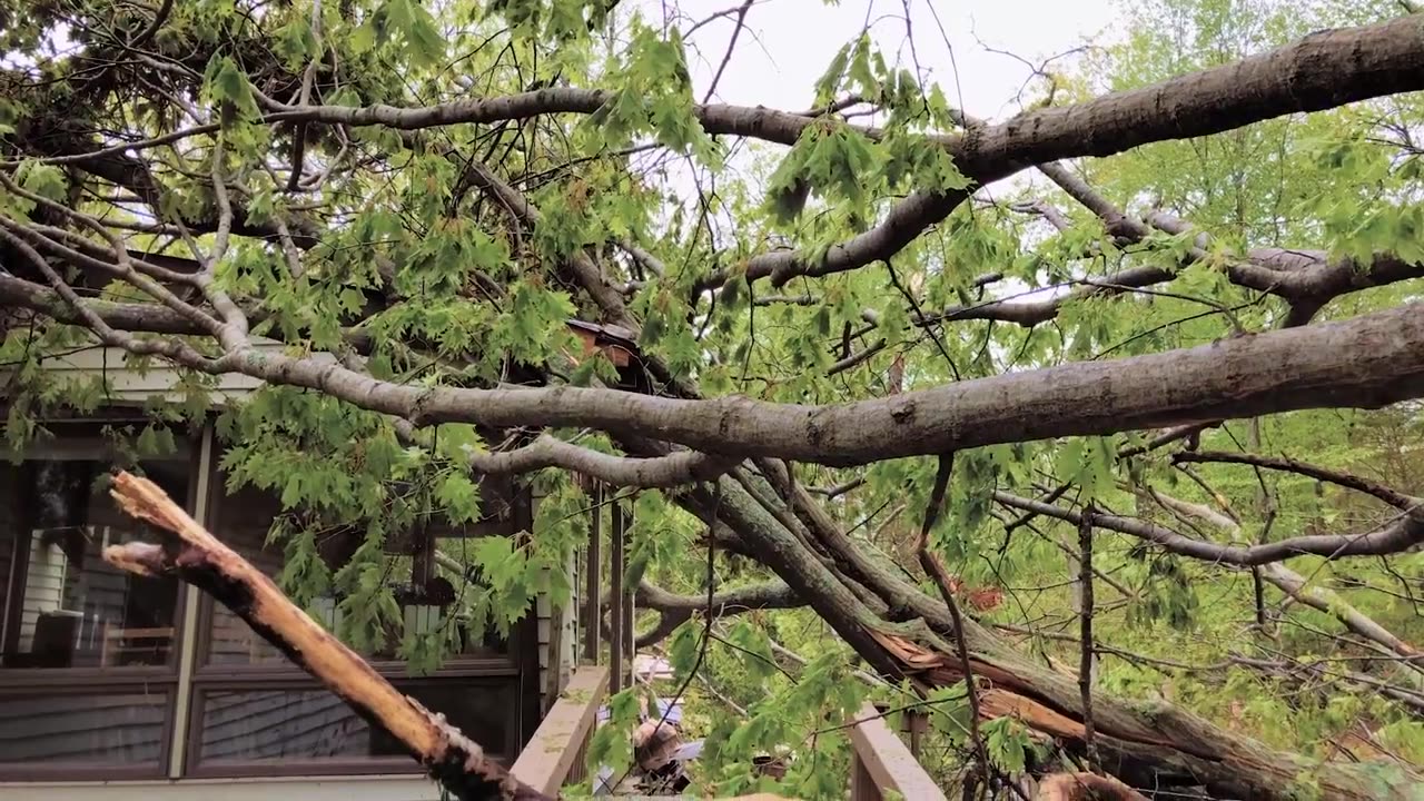Expertly Responding to Flooding & Fire Damage: Restoration Solutions