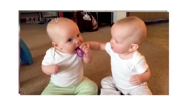 Babies Fighting