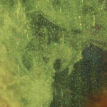 CONSPIRACY TRUTHS DAILY MIX 🐸🐸🐸🐸🐸 21/05/2024