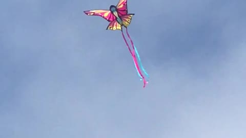 BUTTERFLY KITE