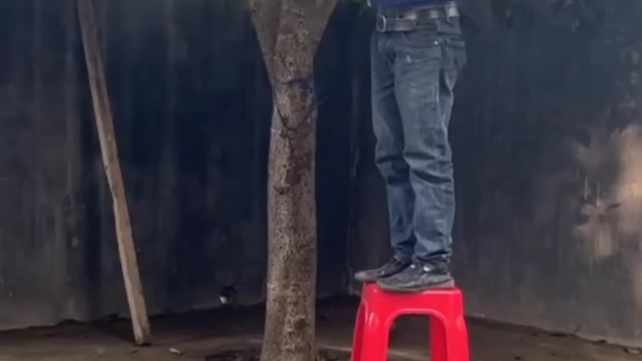 FUNNY CATS, DOGS 🐱🐶 and other CUTE ANIMALS 🐾 Funniest Animal Videos 2023