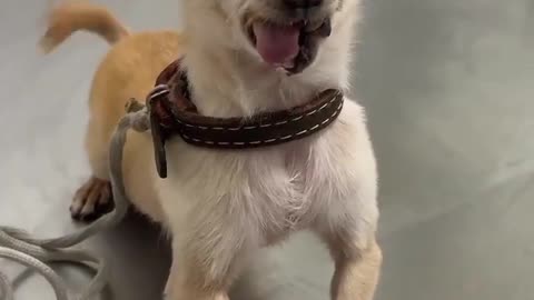 I secure your home