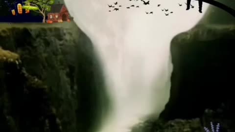 Video For Your Status