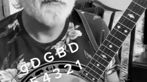 Bluegrass Banjo