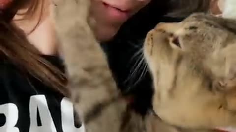 Yelowpopo