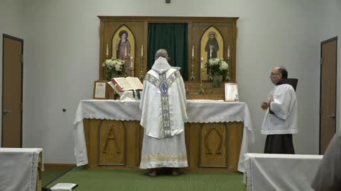 Assumption of the BVM - Holy Mass 8.15.20