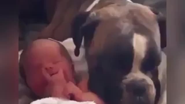 Pets are the best babysitters