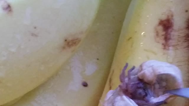 Better check your bananas: from Dole (Costa rica) to Staten Island, New York