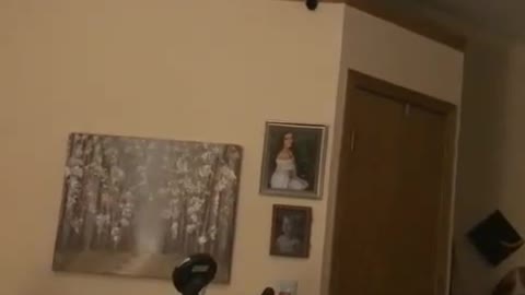 Бедни кошка умер😂😂