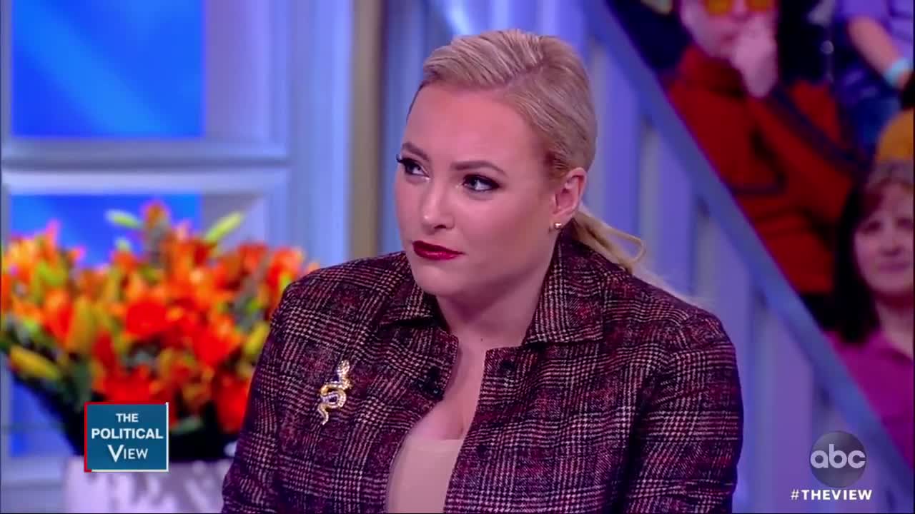 Meghan McCain presses Dem. governor on Green New Deal
