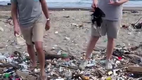 We cleaned the beach