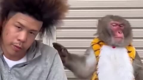 The monkey’s reaction.. 😂