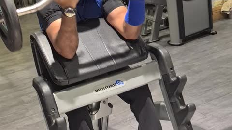 Biceps curl workout