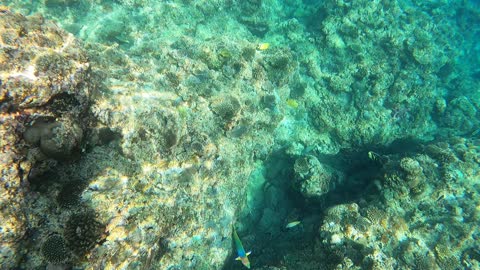 Snorkeling around Cape Meada