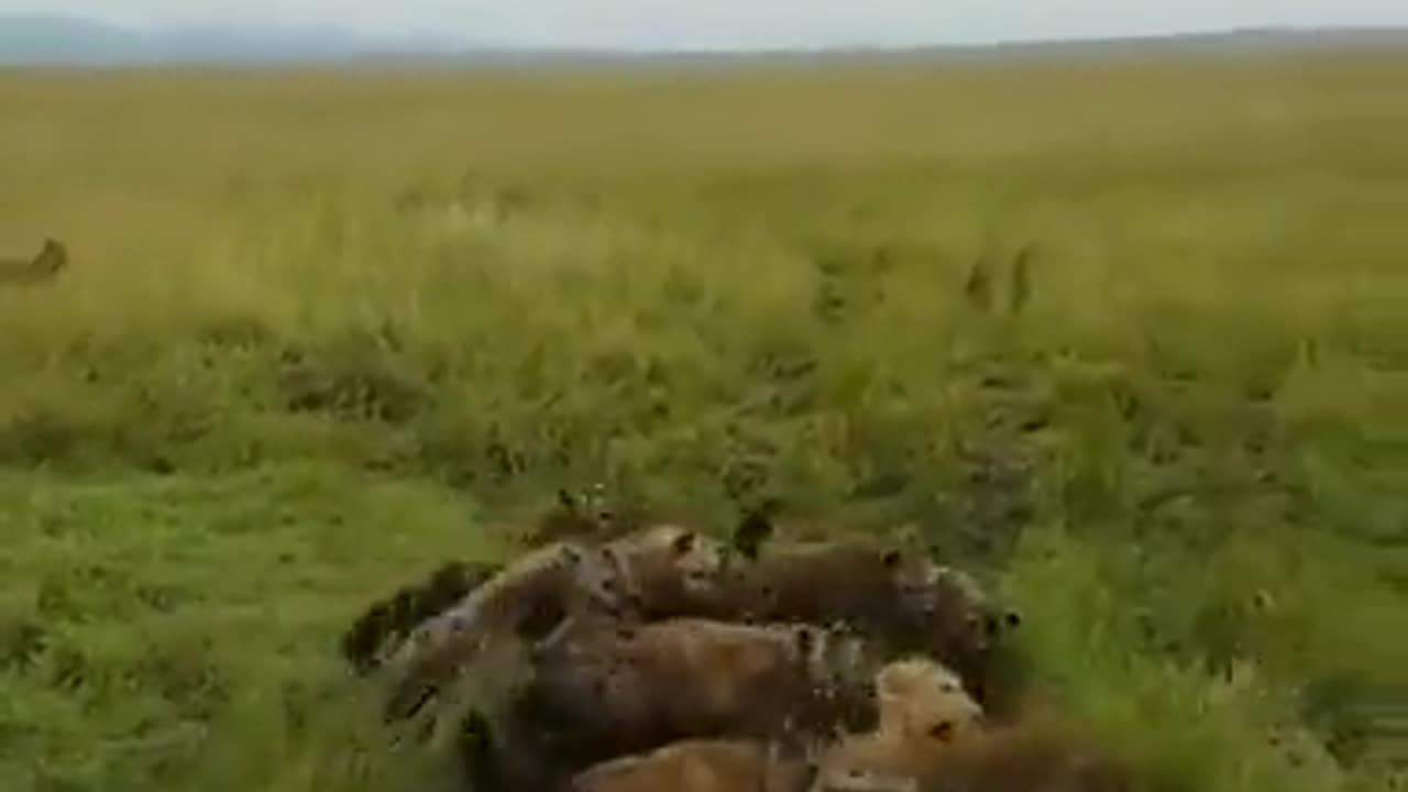 When Your Boys Show Up After You Get Jumped