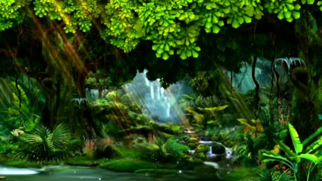 Forest Animation - motion graphics - green forest - Animated forest motion graphics 2022