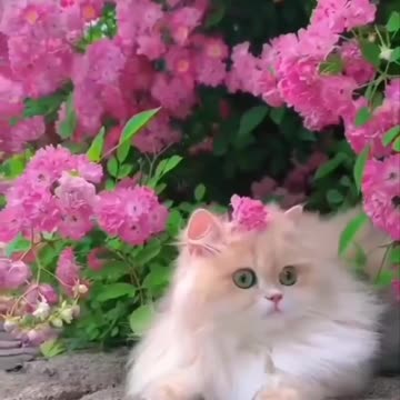 Flower by a different name 😊😍