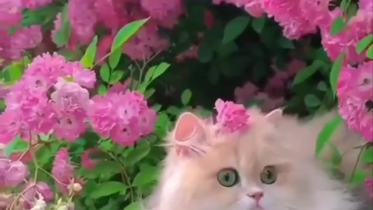 Flower by a different name 😊😍