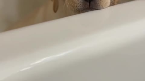When you do take not bath