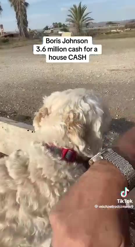 Boris pays £3.8 million cash for house on £160.000 salary as P.M