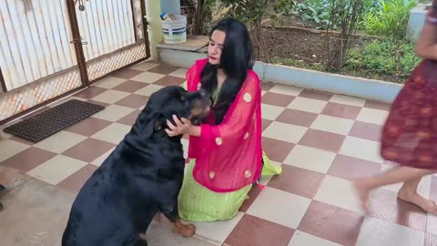 Anshu is falling down because of my dog || funny dog videos.