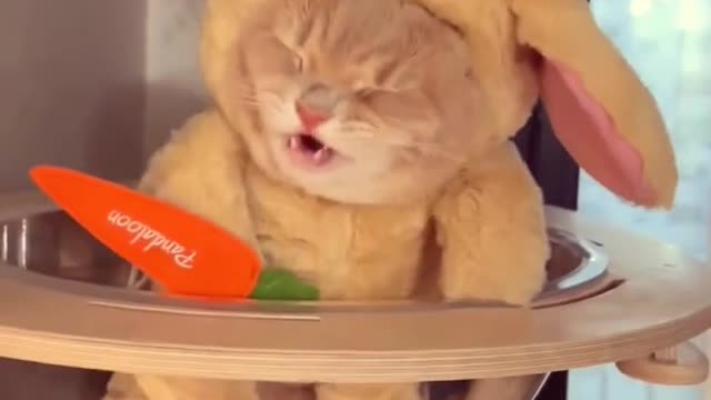 #CAT GEMOIII