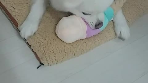 eating ice cream