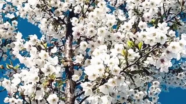 Beautiful scenery also makes people feel beautiful