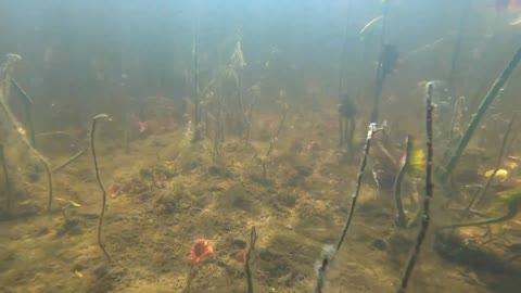 Underwater Adventure