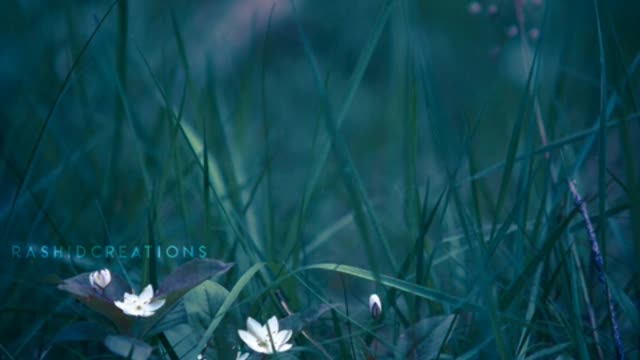 short music for status