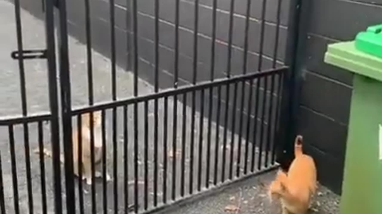 We Can Wait Or Struggle Through #shorts #viral #shortsvideo #video