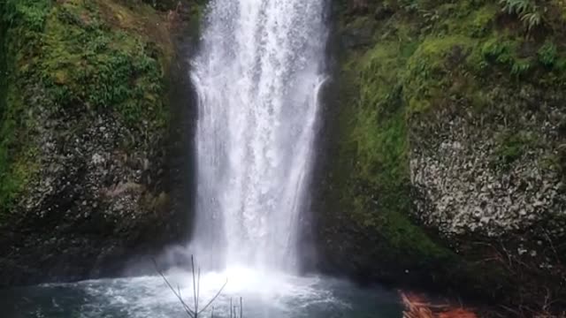 Nature relaxing music