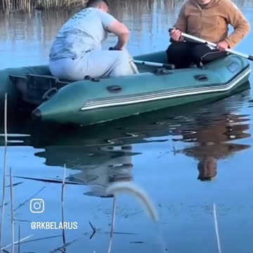 Big Fish Dropped Into The Lake