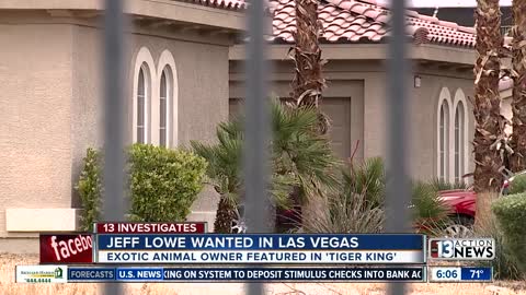 Tiger man's trouble in Las Vegas