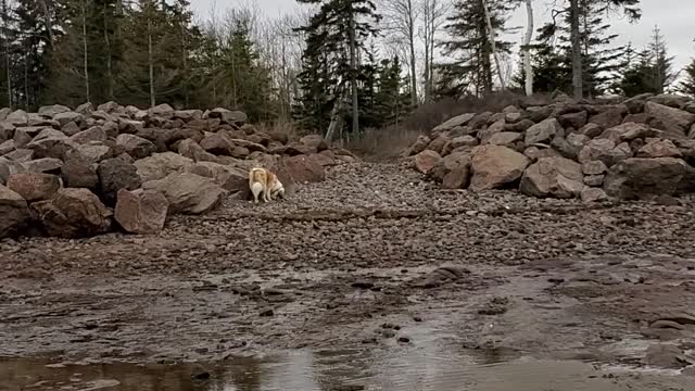 Tide heading out 5pm April 2/21