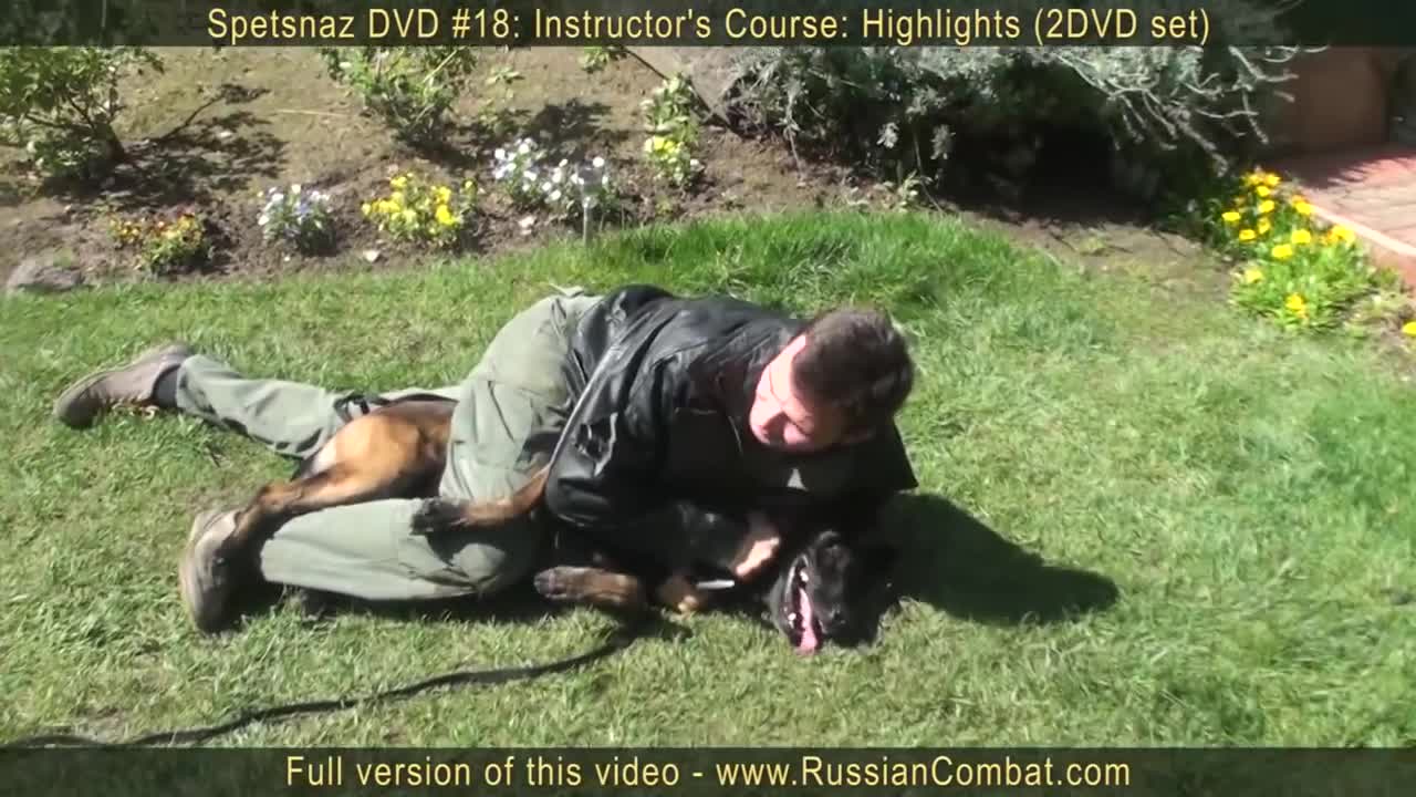 You need to learn how to defend yourself against a dog!!