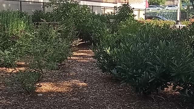 Gillibrand to Biden: Invoke Defense Production Act for monkeypox vax