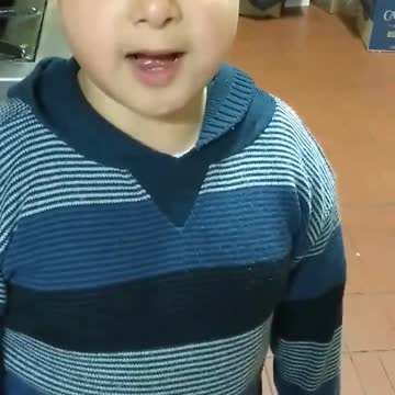 Desconsolado, con un tierno discurso suplica a su mamá quedarse con la perrita que encontró (2)