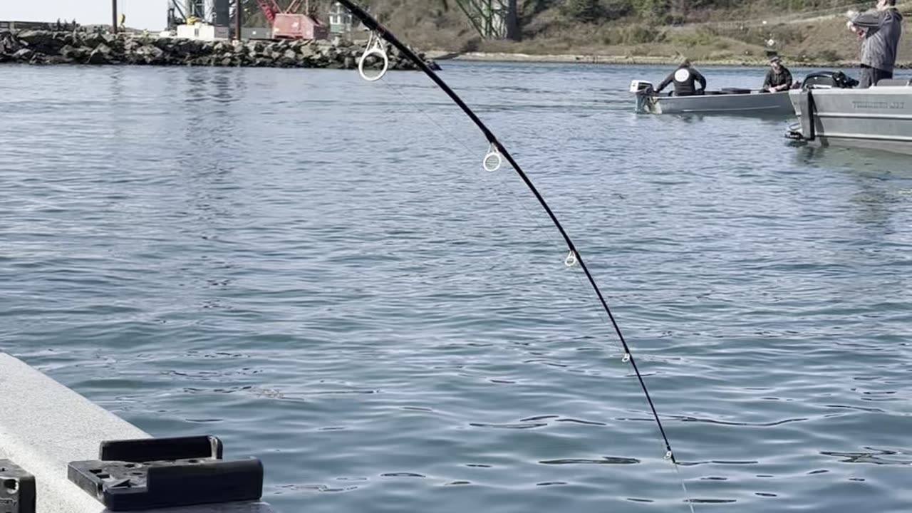 Herring Fishing Newport Oregon