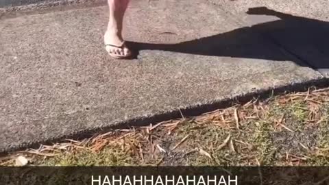 fanny video